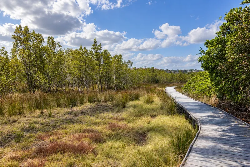 Деревянная настил-тропа, вьющаяся среди мангровых зарослей в Jubail Mangrove Park, Абу-Даби