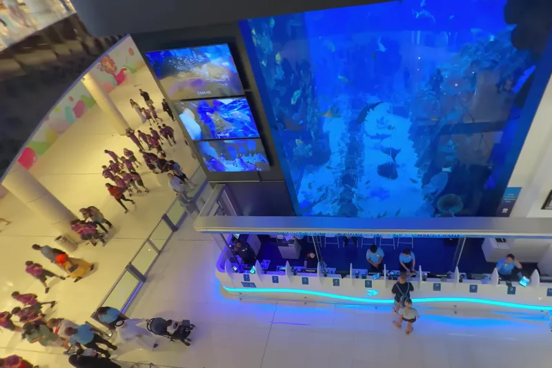Вид сверху на главную смотровую панель Dubai Aquarium и посетителей торгового центра.