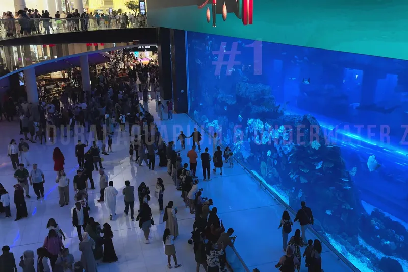 Большой крытый аквариум в Dubai Mall, где толпы людей наблюдают за скатами и рыбами.