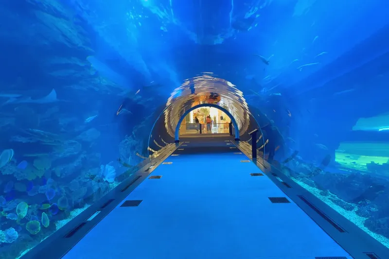Подводный тоннель Dubai Aquarium в торговом центре Dubai Mall