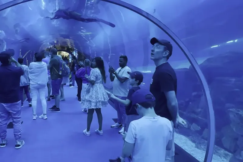 Подводный стеклянный туннель с морскими обитателями в океанариуме Dubai Aquarium.