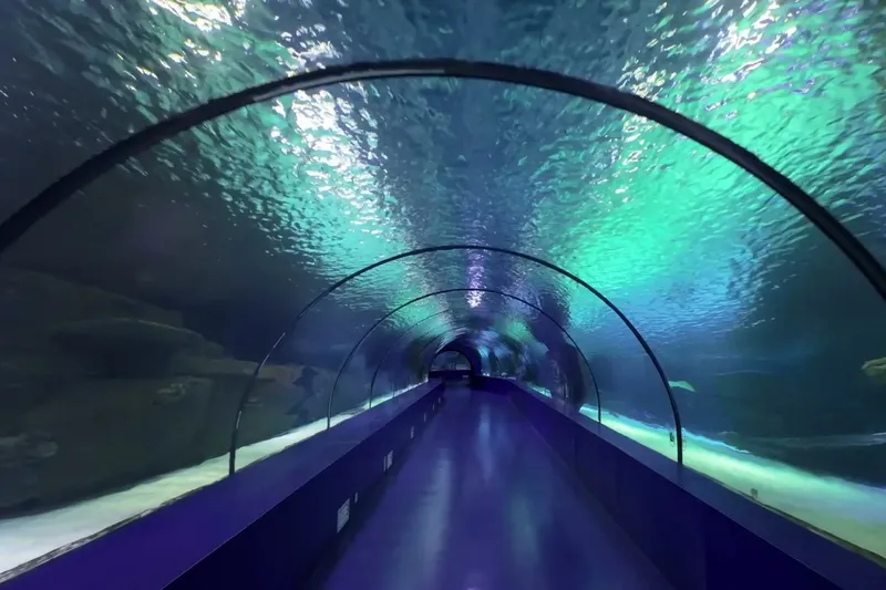 Акриловый туннель океанариума Dubai Aquarium с проплывающими рыбами и скатами