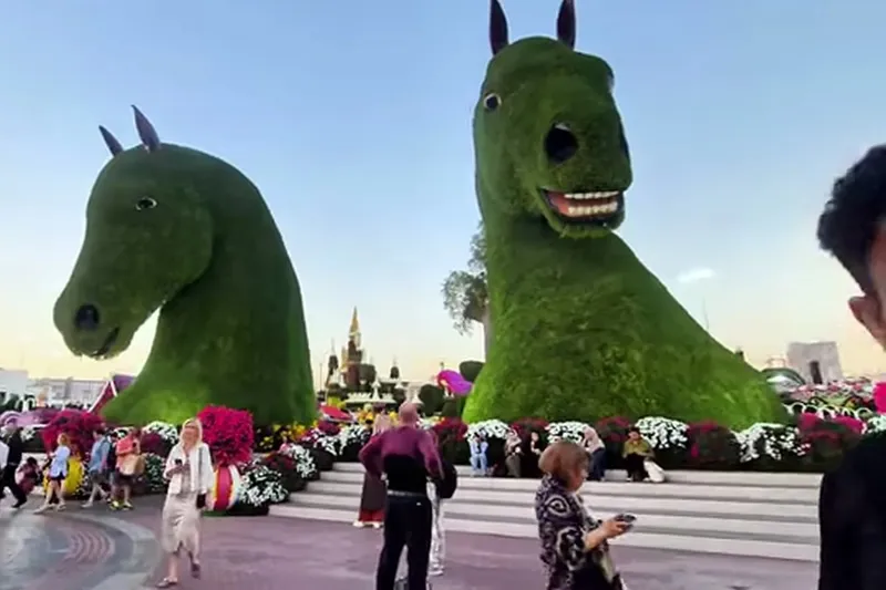 Сад чудес (Miracle Garden): башня, лошадь.