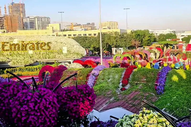 Сад чудес (Miracle Garden): сад, цветочная композиция.