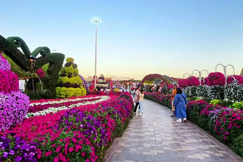 Сад чудес (Miracle Garden): цветочная композиция.