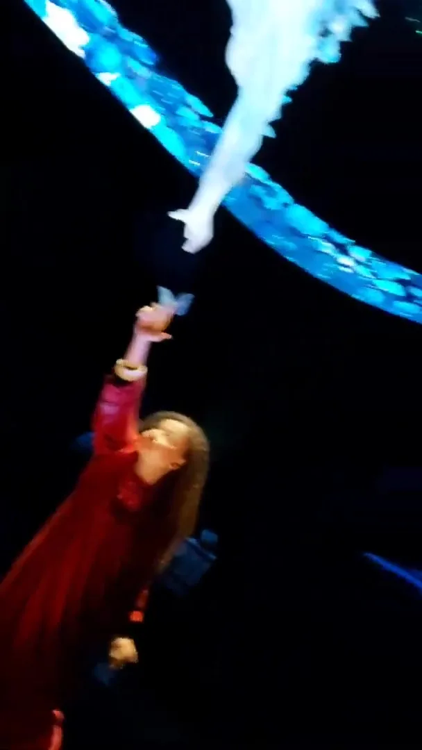 Вид на павильон мобильности Алиф — маршрут по знаковым местам Дубая.