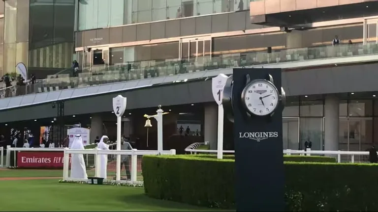 Ипподром Мейдан: скачки.