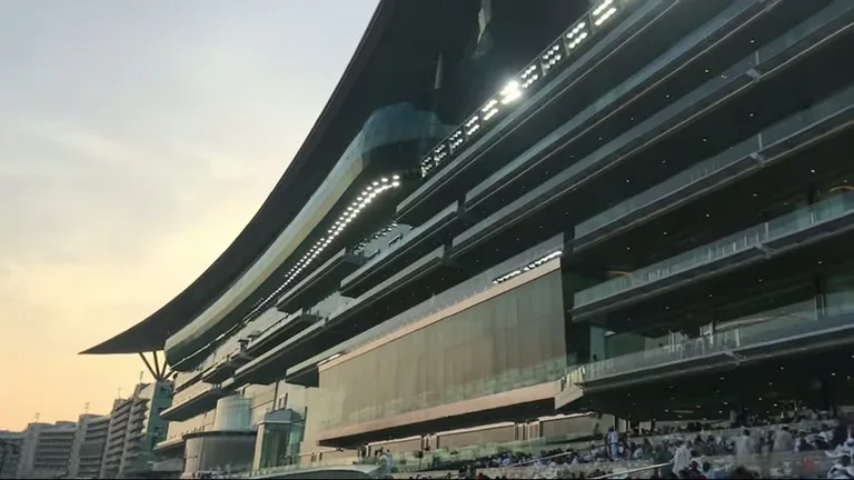 Ипподром Мейдан: внешний вид, закат.