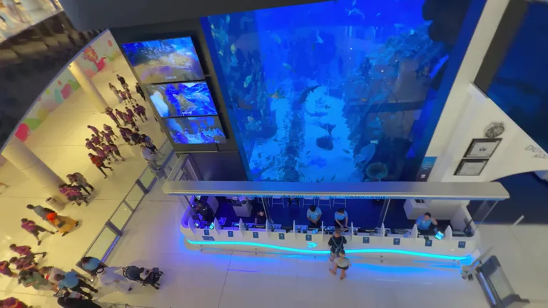 Аквариумы Дубая: Dubai Mall Aquarium vs The Lost Chambers