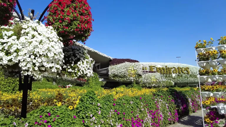 Масштабные цветочные композиции и скульптуры в парке Dubai Miracle Garden под открытым небом.