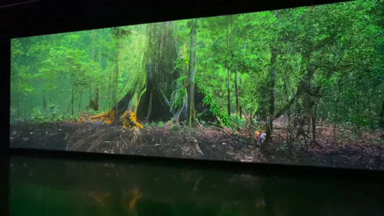 Экран с изображением зелёного леса и светящимся объектом у дерева