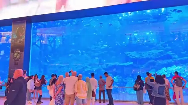 Район Дубай Марина привлекает туристов своей набережной, каналом и высокой концентрацией небоскребов.