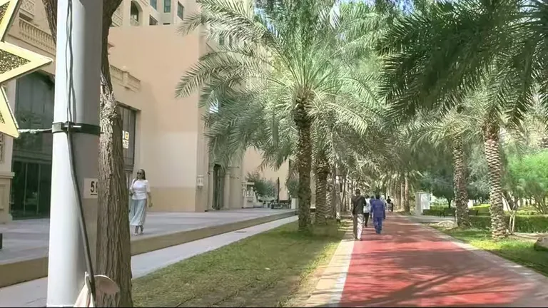 Пальм-Джумейра: здание, пальма.