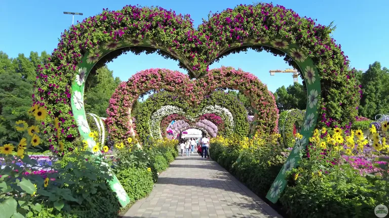 Популярная среди туристов аллея с арками в форме сердец, украшенная петуниями и подсолнухами.