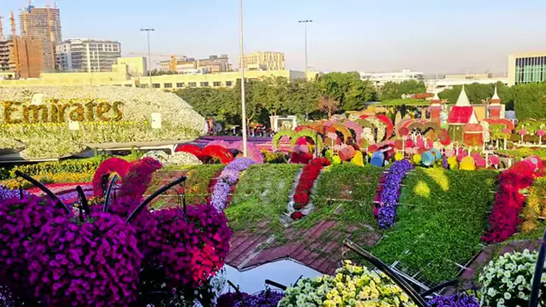 Сад чудес (Miracle Garden): сад, цветочная композиция.