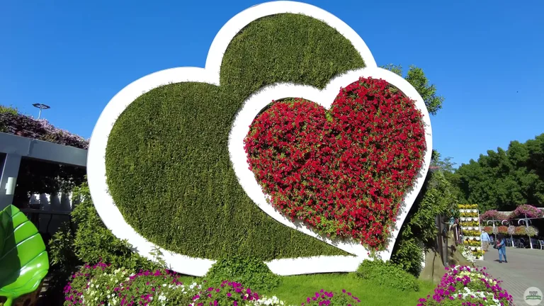 Крупная цветочная композиция в виде двойного сердца, выполненная из зеленой листвы и ярко-красных цветов.