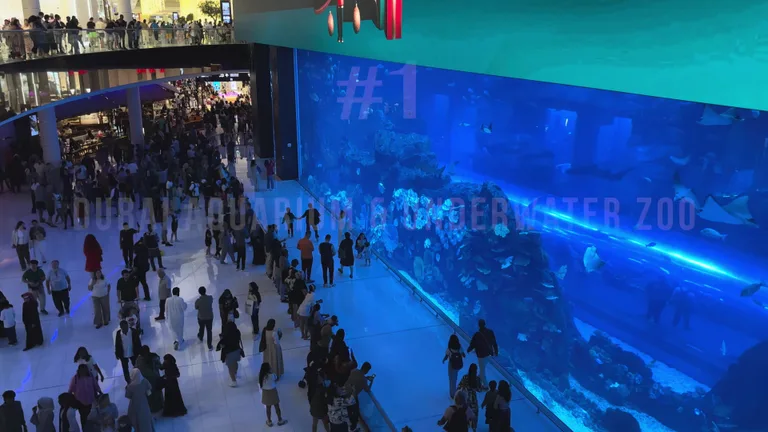 Посетители наблюдают за морской жизнью через стекло огромного подвесного аквариума.