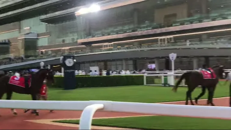 Ипподром Мейдан: лошадь, скачки.