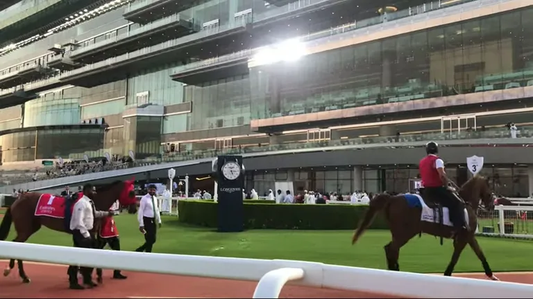 Ипподром Мейдан: лошадь, скачки.