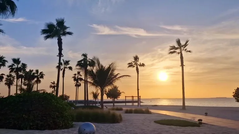 Заходящее за океан солнце между пальмами на песчаном пляже клуба Nikki Beach Dubai.