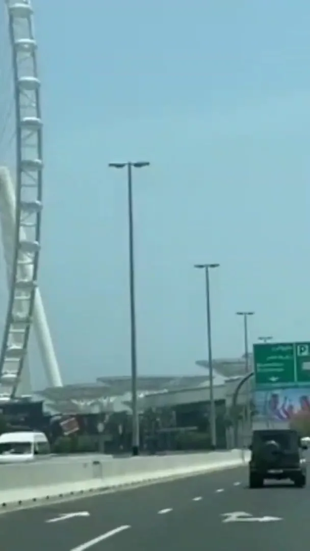 Авторское блюдо с художественной подачей и свежими местными ингредиентами на темном деревянном столе.