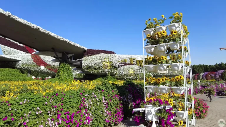 Живописные аллеи с арками, украшенными тысячами разноцветных цветов, в популярном саду Дубая.