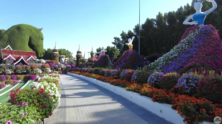 Ряд цветочных скульптур, изображающих женщин в пышных платьях из разноцветных петуний, вдоль садовой дорожки.