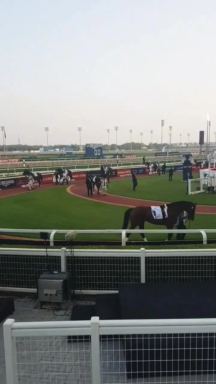 Вид из кабины поезда на железнодорожные пути, уходящие к далеким горам через природный ландшафт региона.